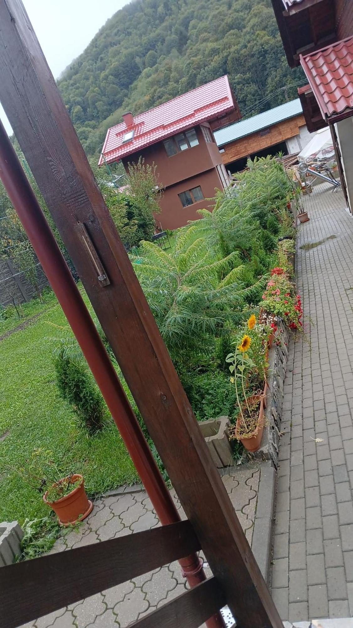 Pensiunea Carmen Bucium  Екстериор снимка